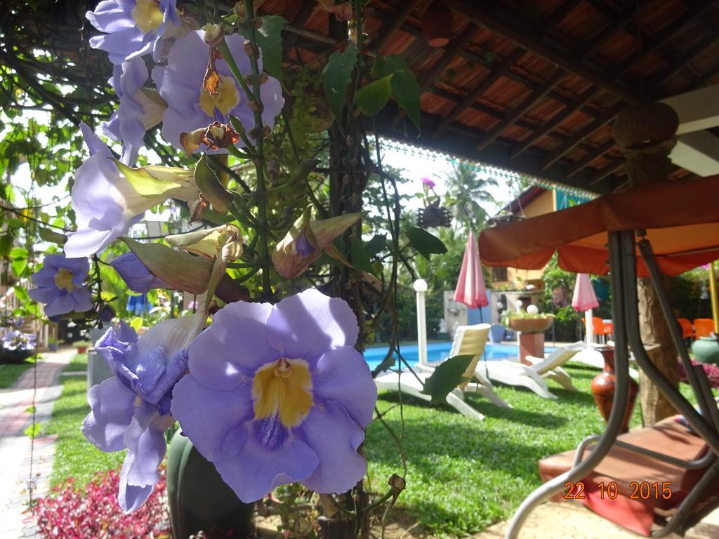 Hilda Guest House Хикадува Екстериор снимка